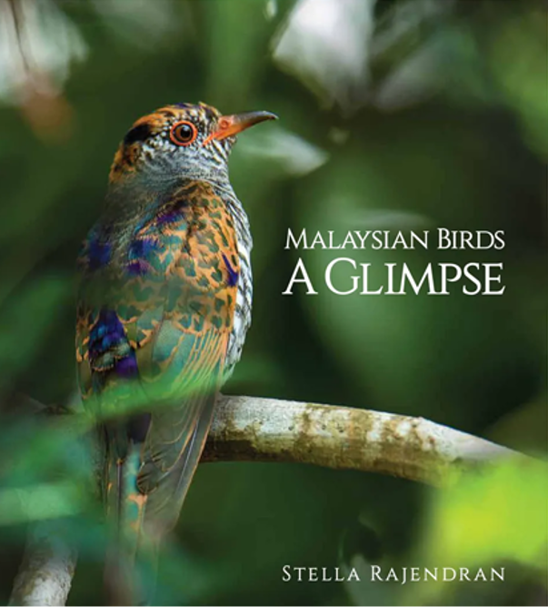 burung